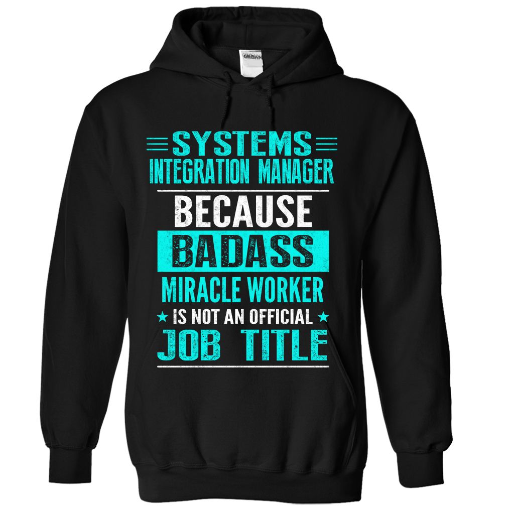 Systems Intergration Manager Because Badass